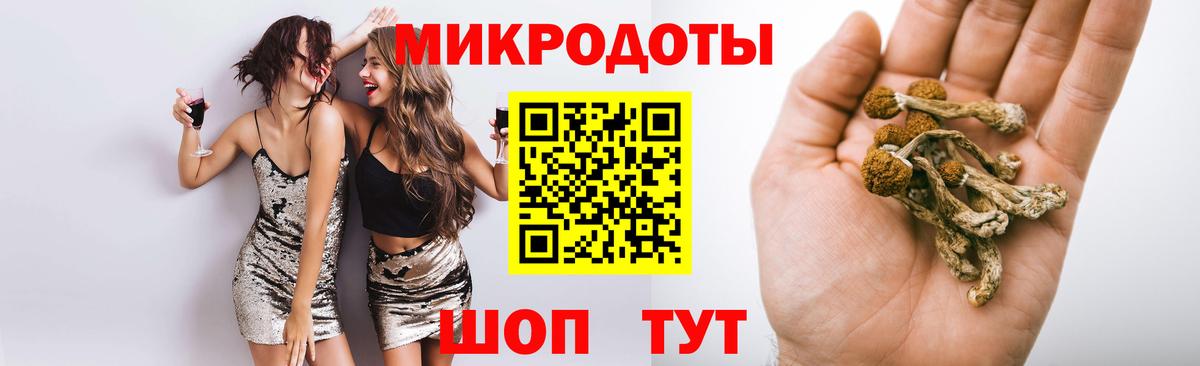 цена наркотик  Вход с VPN  Галлюциногенные грибы Psilocybe  Минусинск  Галлюциногенные грибы мицелий 